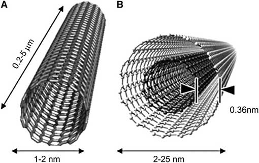 Image of carbon nanotubes