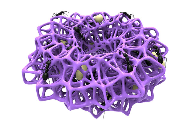 Azcatl ant's nest