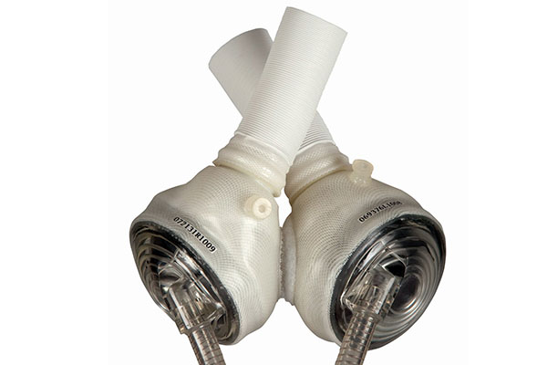 Image of artificial heart