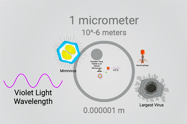 Micron measurement