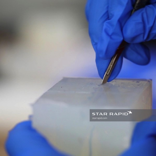 cut-and-open-the-mold-1